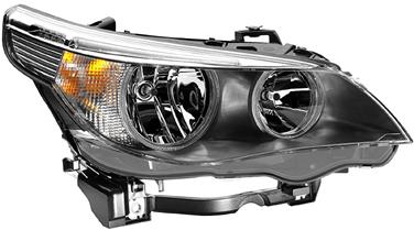 Headlight Assembly HL 008673121