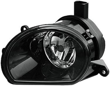 Fog Light Assembly HL 247003011