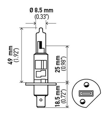 Fog Light Bulb HL H1