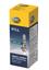 Fog Light Bulb HL H1LL