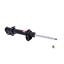 Suspension Strut KY 334131