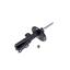 Suspension Strut KY 335080