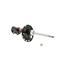 Suspension Strut KY 339204