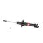 Suspension Strut KY 341170