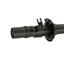 Suspension Strut KY 341379