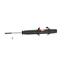 Suspension Strut KY 341446