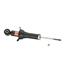 Suspension Strut KY 341492