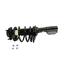 Suspension Strut and Coil Spring Assembly KY SR4013