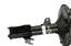 Suspension Strut and Coil Spring Assembly KY SR4031