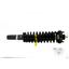 Suspension Strut and Coil Spring Assembly KY SR4041