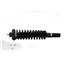 Suspension Strut and Coil Spring Assembly KY SR4041