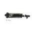 Suspension Strut and Coil Spring Assembly KY SR4048