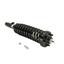 Suspension Strut and Coil Spring Assembly KY SR4048