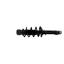 Suspension Strut and Coil Spring Assembly KY SR4052