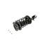 Suspension Strut and Coil Spring Assembly KY SR4062