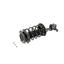 Suspension Strut and Coil Spring Assembly KY SR4063