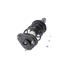 Suspension Strut and Coil Spring Assembly KY SR4068