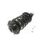 Suspension Strut and Coil Spring Assembly KY SR4099