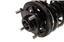 Suspension Strut and Coil Spring Assembly KY SR4106