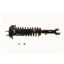 Suspension Strut and Coil Spring Assembly KY SR4107