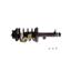 Suspension Strut and Coil Spring Assembly KY SR4114