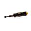 Suspension Strut and Coil Spring Assembly KY SR4119