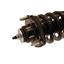 Suspension Strut and Coil Spring Assembly KY SR4120