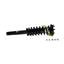 Suspension Strut and Coil Spring Assembly KY SR4122