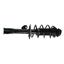 Suspension Strut and Coil Spring Assembly KY SR4123