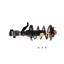 Suspension Strut and Coil Spring Assembly KY SR4129