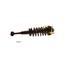 Suspension Strut and Coil Spring Assembly KY SR4137