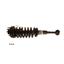 Suspension Strut and Coil Spring Assembly KY SR4137