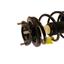 Suspension Strut and Coil Spring Assembly KY SR4146