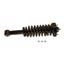 Suspension Strut and Coil Spring Assembly KY SR4148