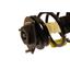 Suspension Strut and Coil Spring Assembly KY SR4150