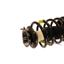 Suspension Strut and Coil Spring Assembly KY SR4157