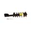 Suspension Strut and Coil Spring Assembly KY SR4159