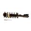 Suspension Strut and Coil Spring Assembly KY SR4160