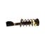 Suspension Strut and Coil Spring Assembly KY SR4161