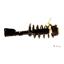 Suspension Strut and Coil Spring Assembly KY SR4175