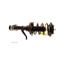 Suspension Strut and Coil Spring Assembly KY SR4179