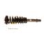 Suspension Strut and Coil Spring Assembly KY SR4188