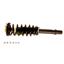 Suspension Strut and Coil Spring Assembly KY SR4189