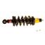 Suspension Strut and Coil Spring Assembly KY SR4192