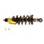 Suspension Strut and Coil Spring Assembly KY SR4193