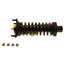 Suspension Strut and Coil Spring Assembly KY SR4199