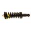 Suspension Strut and Coil Spring Assembly KY SR4202