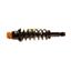 Suspension Strut and Coil Spring Assembly KY SR4205