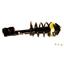 Suspension Strut and Coil Spring Assembly KY SR4216