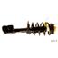 Suspension Strut and Coil Spring Assembly KY SR4217